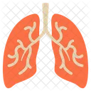 Diagnostico Pulmones Humo Icono