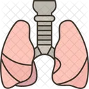 Pulmones Respiratorio Pecho Icono