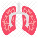 Pulmones Sistema Respiratorio Funcion Pulmonar Icono