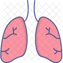 Pulmones  Icono