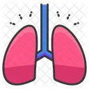 Pulmones Icono