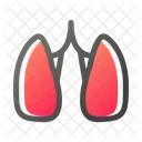 Los Pulmones Organo Medico Icon