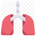 Enfermeria Hospital Clinica Icono