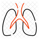 Pulmones  Icon