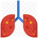 Pulmones Infeccion Virus Icono