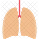 Pulmones Medicina Dentista Icono