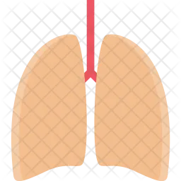 Pulmones  Icono