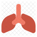 Órgano de los pulmones  Icon