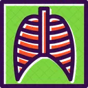 Rayos x de los pulmones  Icono