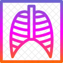 Rayos X De Los Pulmones Pulmones Rayos X Icono