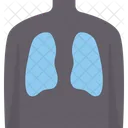 Radiografía de pulmones  Icono