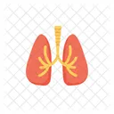 Pulmonology Speciality Respiratory Icon