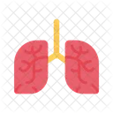 Pulmonology Lungs Anatomy Icon
