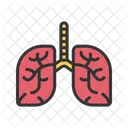 Pulmonology Lungs Anatomy Icon