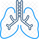 호흡기내과 해부학 호흡 아이콘