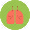 Pulmonology Lungs Anatomy Icon