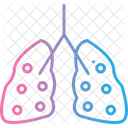 Pulmonology Lungs Anatomy Breath Organ Breathe Lung Medical Human Lungs Respiratory Icon