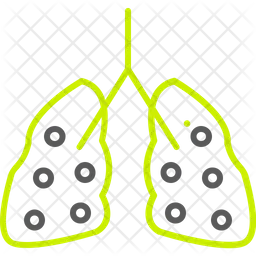 Pulmonology lungs anatomy breath organ breathe lung medical human lungs respiratory  Icon