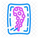 Pulpo Tentaculos Paquete Icono