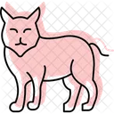 Puma Katze Katzenartige Symbol