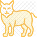 Puma Katze Katzenartige Symbol