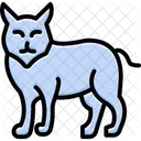 Puma Katze Katzenartige Symbol