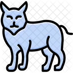 Puma  Symbol