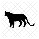 Puma Animal Silhouette Icon