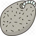 Pumice Stone Scrub Icon
