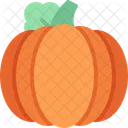 Pumpkin Fruit Organic Icon