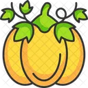 Pumpkin  Icon