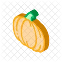 Food Healthy Pumpkin Icon