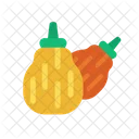 Pumpkin Fresh Vegetables Icon
