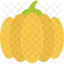 Pumpkin Vegetable Fresh Icon
