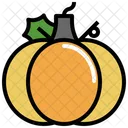 Pumpkin Organic Vegan Icon