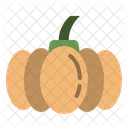 Pumpkin Winter Vegetable Icon