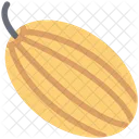 Pumpkin Cucurbita Pepo Icon