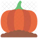 Pumpkin Agriculture Farm Icon