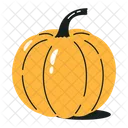 Cucurbita Pumpkin Squash Icon