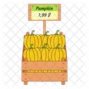 Pumpkin Vegetable Vegetable Basket Icon
