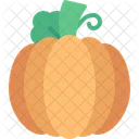 Pumpkin Fruit Organic Icon