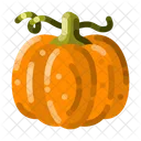 Pumpkin Squash Gourd Icon