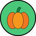 Pumpkin Icon Icon