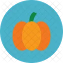 Pumpkin Icon Pumpkin Halloween Icon