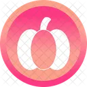 Pumpkin Icon Icon