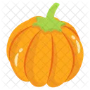 Pumpkin Squash Vegetable Icon
