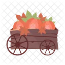 Pumpkin  Icon