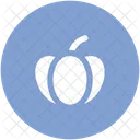 Pumpkin Cucurbita Pepo Icon
