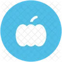 Pumpkin Cucurbita Pepo Icon