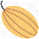 Pumpkin Cucurbita Pepo Icon